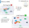 Formulating and Implementing the t-SNE Algorithm From Scratch