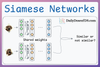 Contrastive Learning Using Siamese Networks